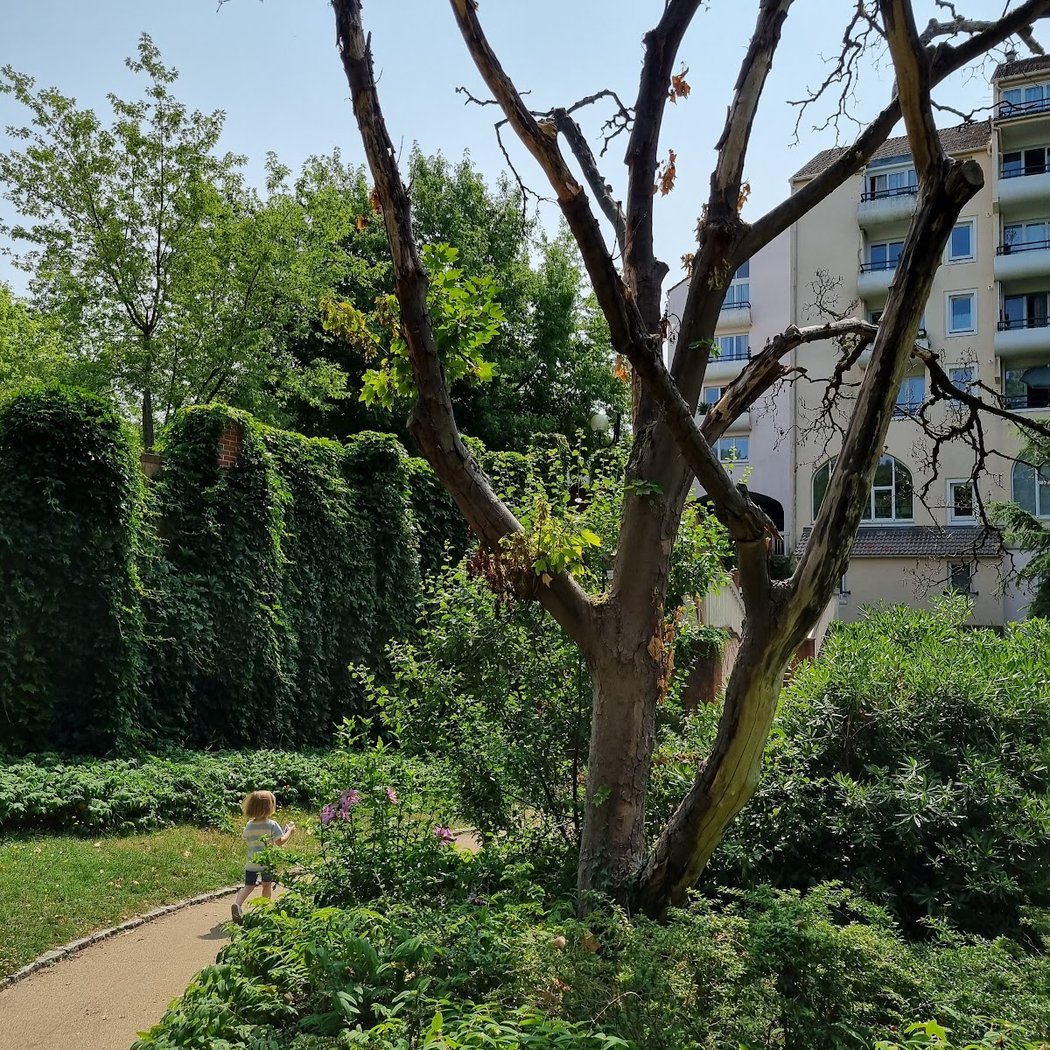 Square du Docteur Gilbert 3